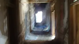 DSC02939_male_apparition.webp