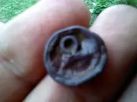 0531101457.webp