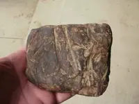 flint13.webp