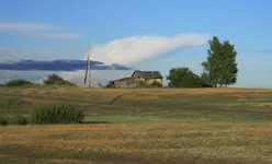 1278443942_fs118600.webp