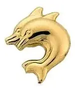dolphin.webp