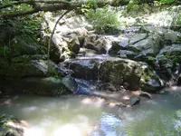 Out & About Today 013.webp