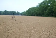 Dutch English Colonial Rev.War Civil War field.webp