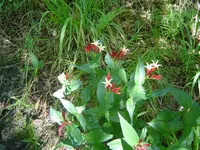 Out & About Today 014.webp