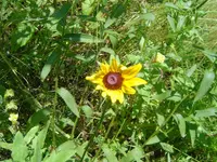 Out & About Today 016.webp