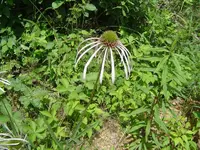 Out & About Today 008.webp