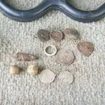 woods finds.webp