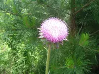Out & About Today 006.webp