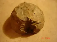 md finds 003.webp