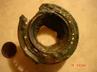 md finds 008.webp