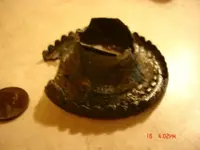 md finds 010.webp