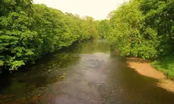 river 004.webp
