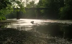 river 005.webp