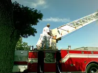 Ladder up.webp