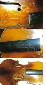 violin 3.webp