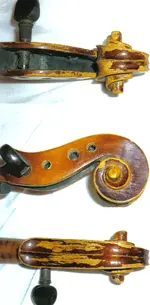 violin 2.webp
