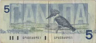 19865DollarCNR1.webp