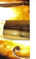 violin 5.webp