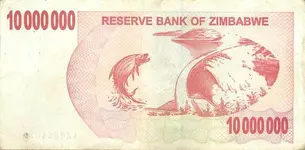 Zimbabwe10000000Dollars-2008Back.webp