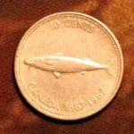 SILVER MACKERAL DIME 001.webp
