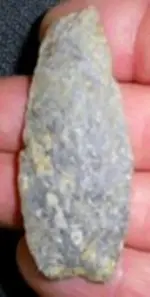 003.webp