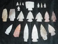 DSCN0136.webp