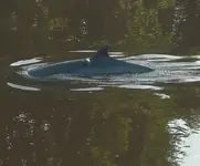 whale 003.webp