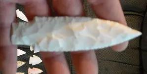 DSCN0145.webp