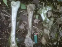 IMG00167-20100628-1925.webp