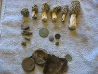 IMG_8603_1_1.webp