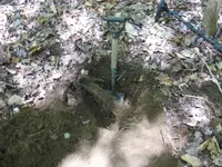 IMG_8590_1_1.webp