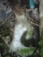 IMG00168-20100628-1925.webp