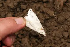 insitu 2 a.webp