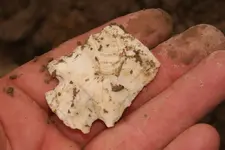 insitu 3 a.webp