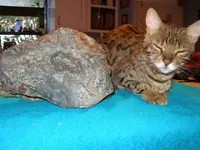 METEOR 001.webp