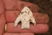insitu 4 a.webp