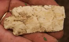 insitu 6 a.webp