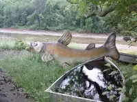 0605101457a.webp