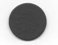 Large Cent scan back.webp