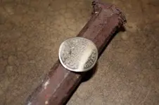coin.webp