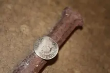 coin2.webp