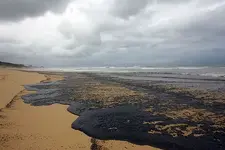 australianbeach032009.webp