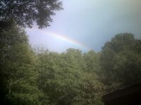 rainbow2.JPG