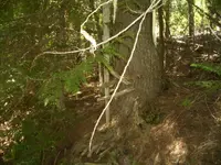CIMG5713.webp