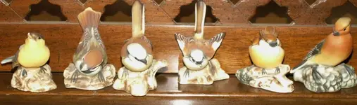 birds2.webp