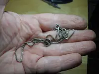DSCN1170.webp