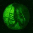 avatar_40314.webp