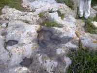 Image0156a.webp