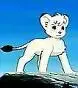 avatar_38552.webp