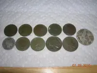 DSCN3962.webp